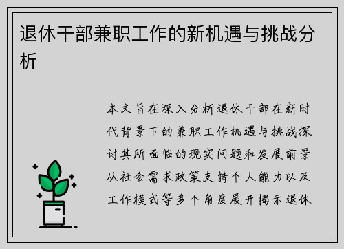 退休干部兼职工作的新机遇与挑战分析