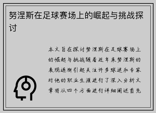努涅斯在足球赛场上的崛起与挑战探讨