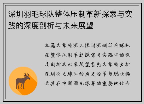 深圳羽毛球队整体压制革新探索与实践的深度剖析与未来展望