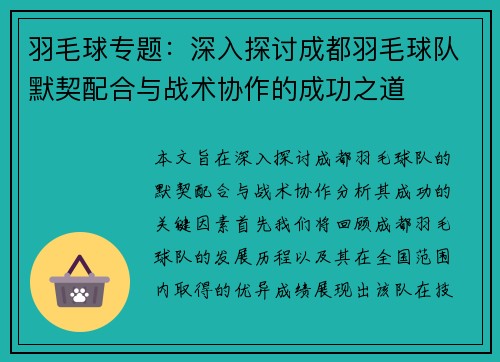 羽毛球专题：深入探讨成都羽毛球队默契配合与战术协作的成功之道